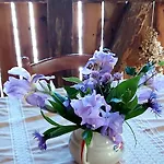 Homestay Herbes Et Collines