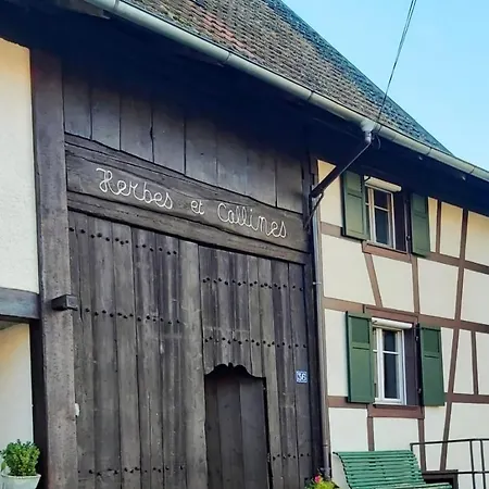 Herbes Et Collines Winkel