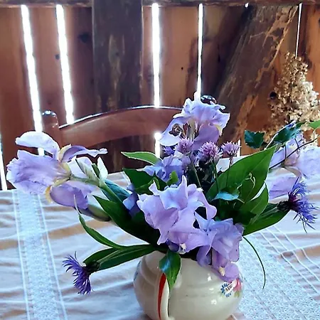 Homestay Herbes Et Collines